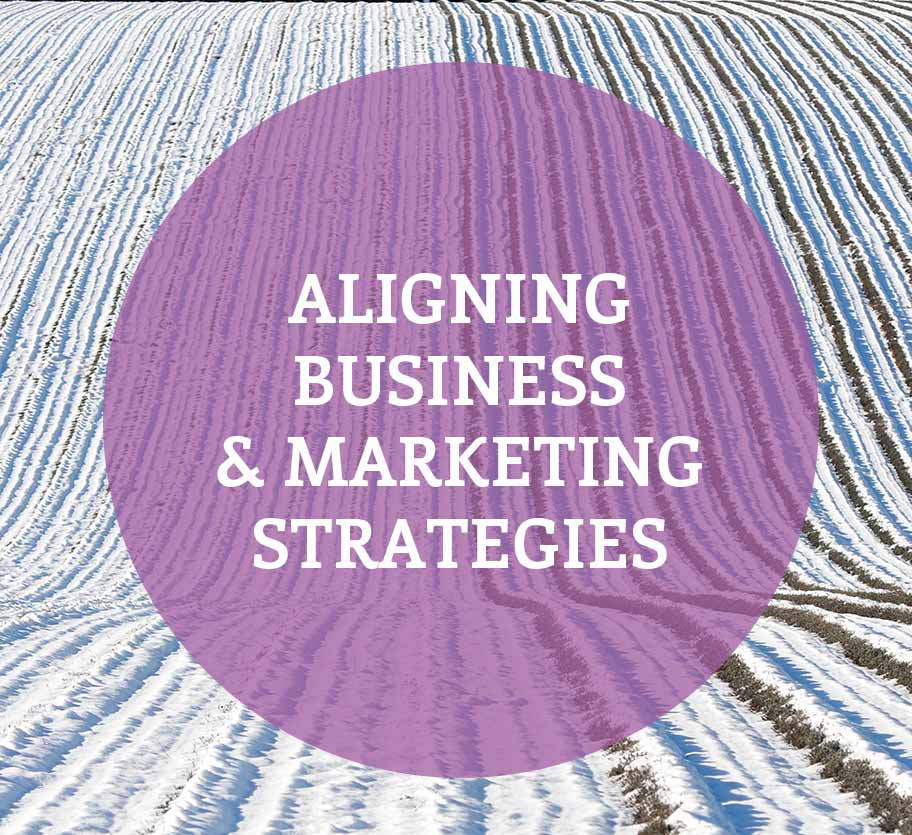Aligning Business & Marketing Strategies