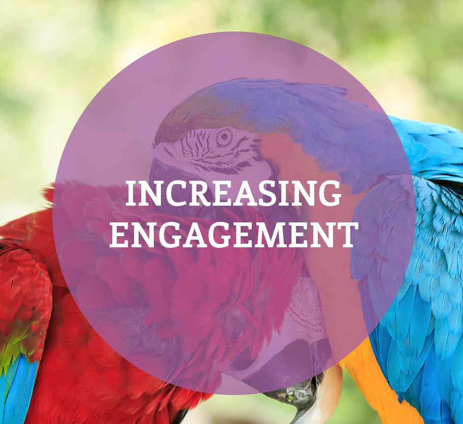 Increasing Engagement