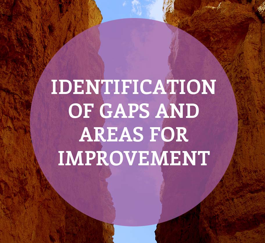 Identification of Gaps and Areas for Improvement