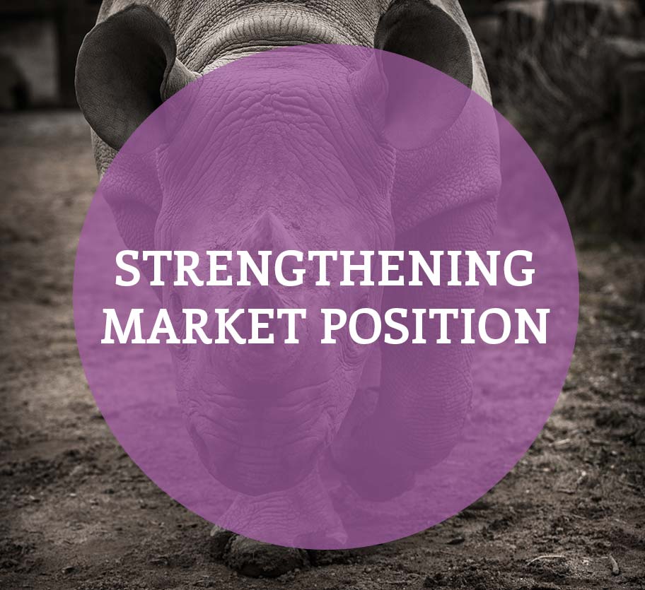 Strengthening Market Position